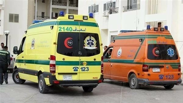 مصر: وفاة سيدة وطفلين بلدغات ثعابين تثير مطالبات بتدخل حكومي عاجل – أخبار السعودية