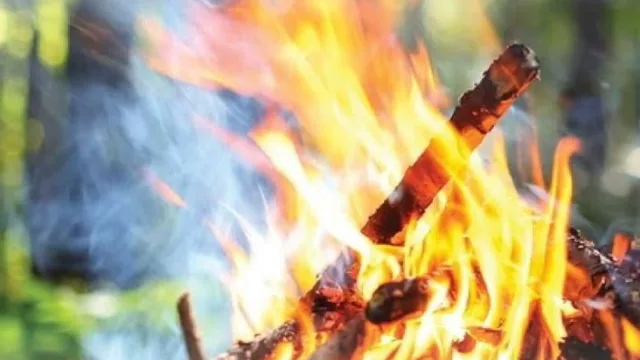 حفاظاً على الأرواح والغطاء النباتي.. الدفاع المدني يدعو للالتزام بمواقع إشعال النار – أخبار السعودية