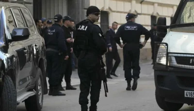 3 ملايين دولار وذهب مخبأ.. إسقاط شبكة تهريب معادن ثمينة بالجزائر – أخبار السعودية