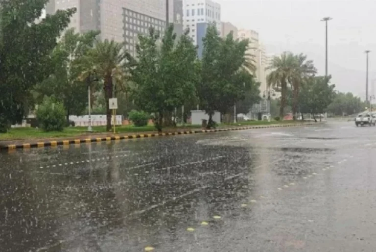 «الأرصاد»: أمطار رعدية ورياح مثيرة للأتربة على أجزاء من المملكة – أخبار السعودية