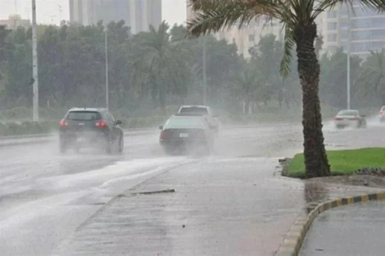 «الأرصاد»: أمطار غزيرة مصحوبة بالبرد وسيول على 4 مناطق – أخبار السعودية