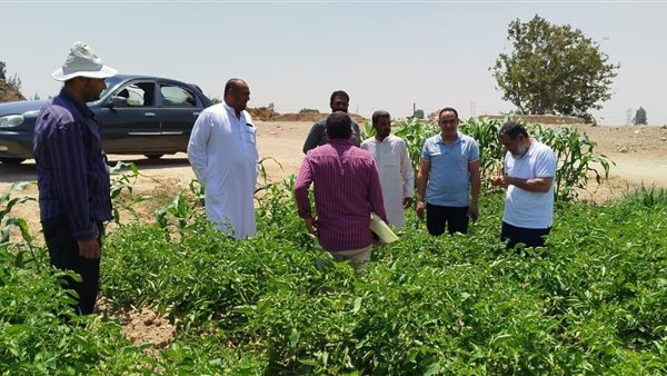 تطهير 68 مسقى ومصرفًا مائيًا في 3 محافظات خلال 15 يومًا