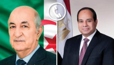 عاجل.. السيسي يتصل هاتفيًا بالرئيس الجزائري ويؤكد تضامن مصر مع ضحايا حرائق الجزائر