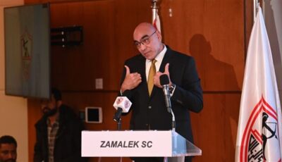 هشام نصر