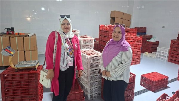 تدوير 4 ملايين طن مخلفات حيوانية خلال يونيو الماضي