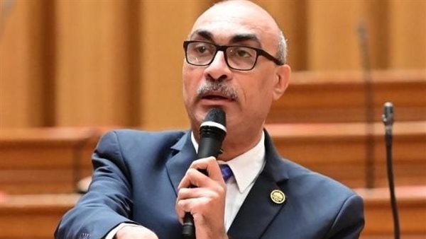 برلماني يطالب بمسيرة احتفالية لمنتخب مصر في شوارع العاصمة والمحافظات