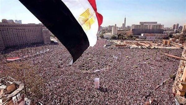 ثورة 30 يونيو أنقذت مصر من الفوضى وحمت هويتها الوطنية