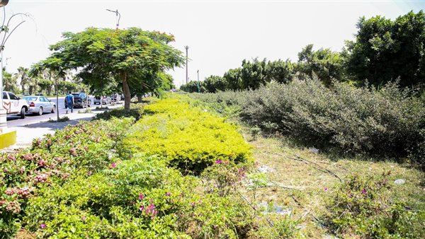 وزيرة الإسكان تتابع أعمال تطوير الطرق ومداخل مدينة بدر