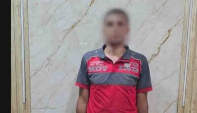 جريمة في شوارع المحلة.. عاطل ينهي حياة كلب بعصا خشبية والأمن يتدخل