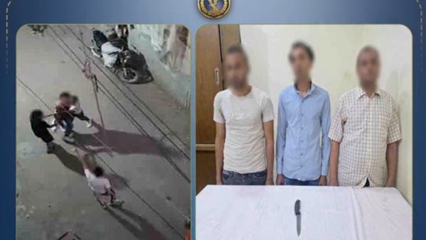 الداخلية تكشف ملابسات فيديو محاولة الاعتداء بسلاح أبيض في البحيرة.. وضبط أطراف المشاجرة