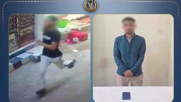 وزارةة الداخلية تضبط «لص الهواتف» بعد خطف هاتف فتاة في البحيرة