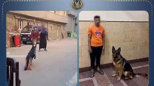 بزعم «المزاح».. ضبط عامل بعد تحريض كلبه على مهاجمة سيدة في البحيرة