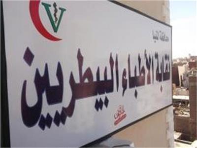 “البيطريين” تطلق نشرة للوظائف.. 2618 طبيبا و27 جهة عمل سجلوا على المنصة