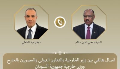 مصر تؤكد دعمها لوحدة السودان وسيادته وسلامة أراضيه