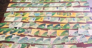 خطوات إضافة أفراد الأسرة على بطاقات التموين وشروط الخدمة.. تفاصيل