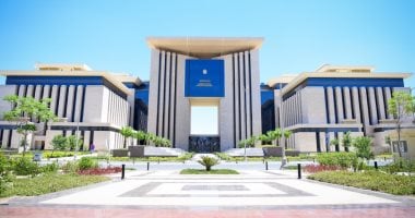 مصر تهيب بوسائل الإعلام العربية والدولية تحرى الدقة فى تناول الشأن المصري