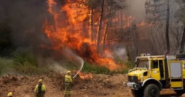 “أولوية وطنية” جديدة في بريطانيا بسبب حرائق الغابات.. ماذا يحدث؟