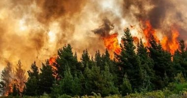 رئيس وزراء بريطانيا يستدعي الجيش لمكافحة حرائق الغابات.. ماذا يحدث؟