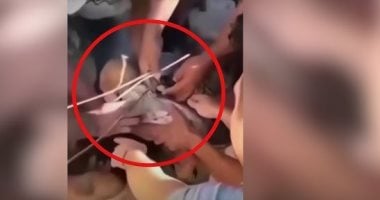 صرخة حياة.. إنقاذ رضيع من تحت أنقاض زلزال كولومبيا.. فيديو