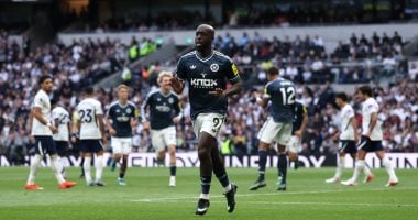 توتنهام يسقط أمام نيوكاسل بثنائية في الدوري الإنجليزي بمشاركة مرموش.. فيديو