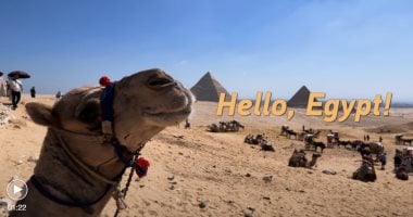 «أهلا مصر».. وسائل إعلام صينية تحتفى بزيارة الرئيس شي للقاهرة .. فيديو