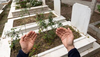 هل وضع غصن أخضر على القبر يخفف عن الميت؟.. أمين الإفتاء يجيب