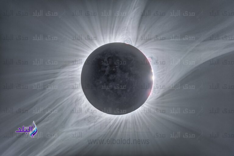 “غرفة السياحة” تطالب الشركات بحصر مواصفات معدات رصد الكسوف الكلي للشمس