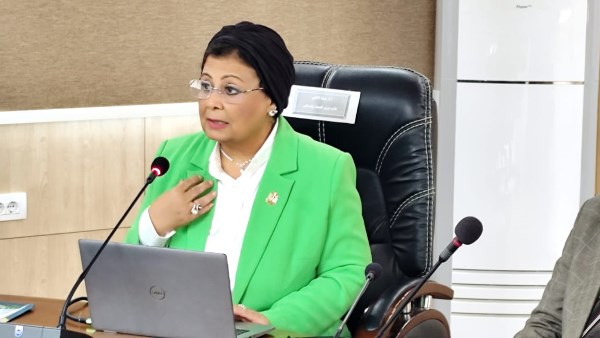 نائب وزير الصحة تتابع تنفيذ الإستراتيجية الوطنية للسكان والتنمية