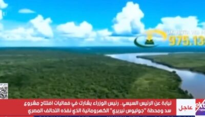مدبولي يشاهد فيلما تسجيليا عن سد ومحطة جوليوس نيريري