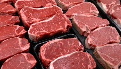 أسعار اللحوم الثلاثاء 11 أغسطس.. الكندوز يسجل 438 جنيها للكيلو
