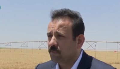 وفد من جامعة فلوريدا الأمريكية يبحث مع جهاز مستقبل مصر التعاون في البحث العلمي والذكاء الاصطناعي