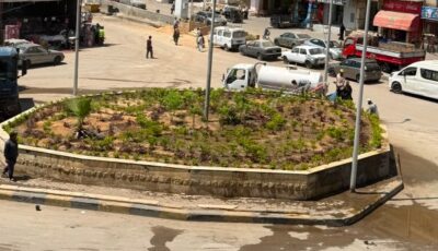 الجيزة تواصل تجميل الميادين..زراعة أحواض الزهور بميدان المطافي في المنيرة الغربية