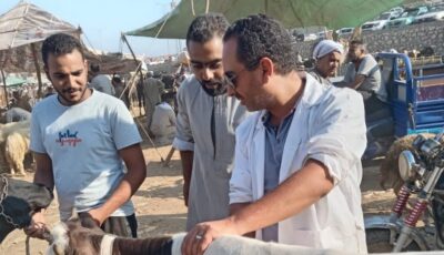 انطلاق الحملة القومية الثانية للتحصين ضد الحمى القلاعية والوادي المتصدع بالجيزة