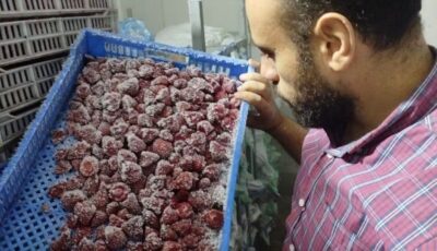 ضبط 20 طن فراولة غير صالحة للاستهلاك داخل منشأة صناعية في المنوفية