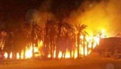 حريق يلتهم أشجار النخيل في الأقصر