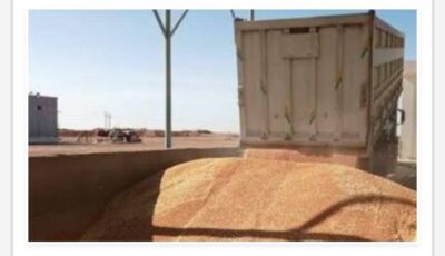 أخبار أسوان.. زيارة للنقيب العام لأطباء مصر ونجاح موسم حصاد القمح. وحملات تفتيشية بالأسواق