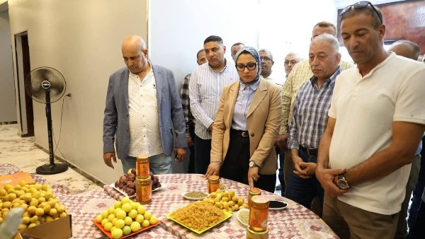 إنشاء مجمع للصناعات الزراعية قرب مطار الداخلة