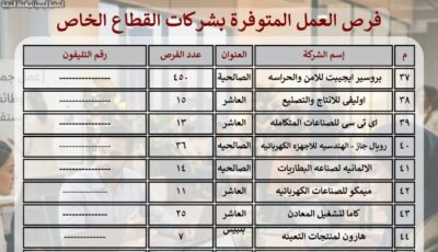 الشرقية تعلن توفير 4 آلاف و 934 فرصة عمل بـ ٥١ مصنعا وشركة