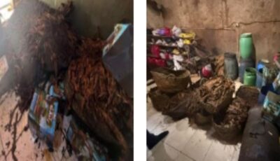 ضبط أكثر من 7 أطنان معسل منتهية الصلاحية داخل مصنع في دمياط