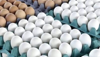 بعد انتشاره في بريطانيا بسبب البيض.. علامات تكشف الإصابة بـ السالمونيلا