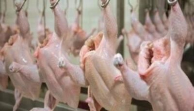 الكيلو يبدأ من 68 جنيه.. أسعار الفراخ والبيض اليوم الإثنين
