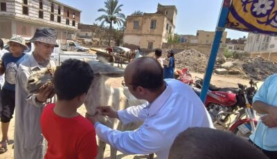 محافظ الدقهلية يتابع أعمال القافلة البيطرية الشاملة بقرية «إصلاح الغيط» التابعة لإدارة جمصة البيطرية