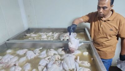 الدقهلية.. ضبط 5 أطنان مصنعات لحوم ودجاج غير صالحة للاستهلاك