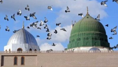 10 معجزات حدثت يوم ميلاد النبي.. تعرف عليها