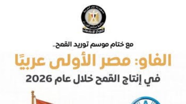 مصر الأولى عربيا في إنتاج القمح خلال عام 2026 وفقا لتقديرات “الفاو”