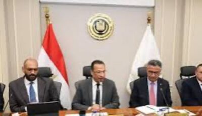 الرئيس السيسي يوجه بسرعة الفصل في القضايا وحماية بيانات المتقاضين .. أبرز تكليفات اجتماع العاصمة