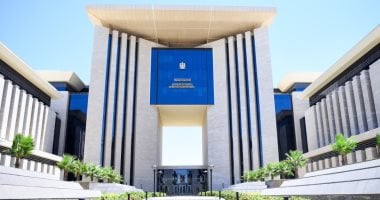 وزارة الخارجية: بدء تنفيذ مبادرة علاجك فى مصر للمصريين بالخارج