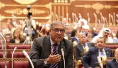 زيارة الرئيس الصيني لمصر تؤسس لمرحلة جديدة من الشراكة