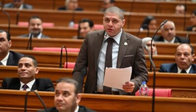 تصريحات الرئيس السيسي عن النيل تجسد ثوابت مصر في حماية أمنها