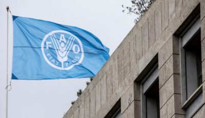 الأمم المتحدة تخفض مساعدات الغذاء في الضفة الغربية إلى النصف بسبب نقص التمويل